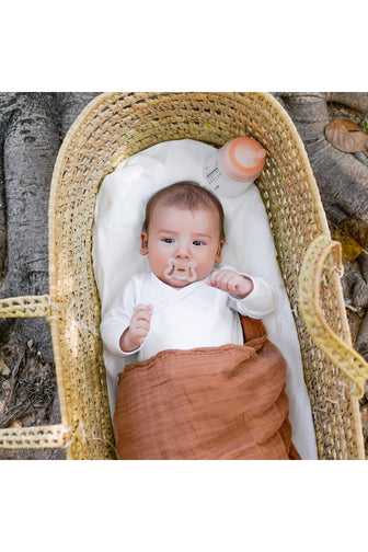 试管婴儿是从哪里取卵